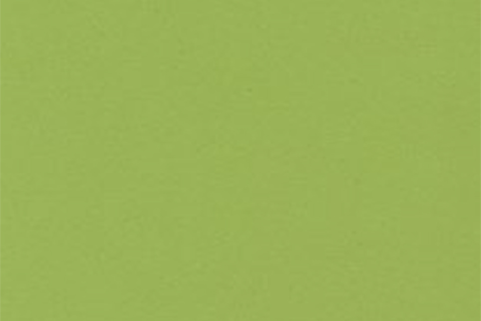 Verde Fun