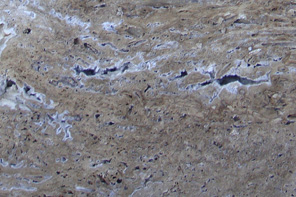 Piedra Tosca