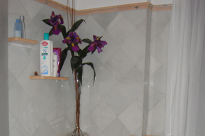 Emplacado Rosa Portugues y Blanco Macael